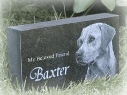 pet headstone dog