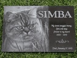 pet headstone cat